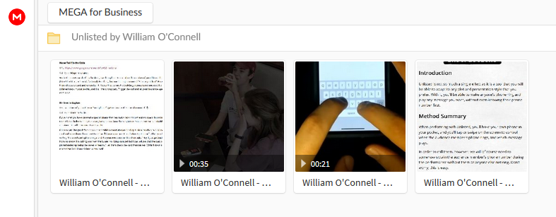 A screenshot of Mega showing some video and pdf files