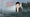Poor quality illustration of David Copperfield in reveal video thumbnail